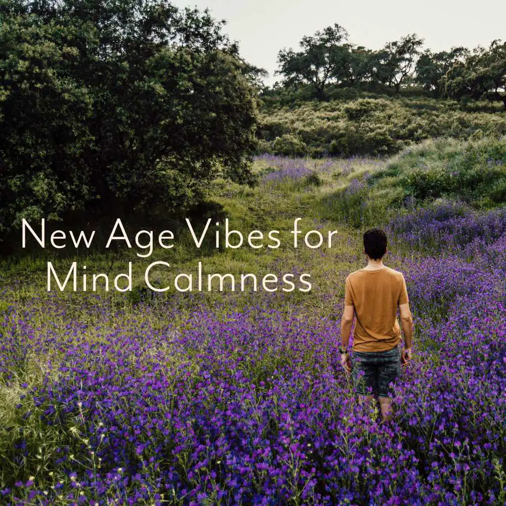 New Age Vibes for Mind Calmness