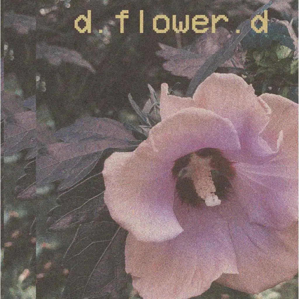 D.Flower.D