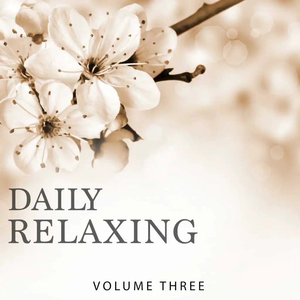 Daily Relaxing, Vol. 3 (Chill Out For Your Relaxation Moment)