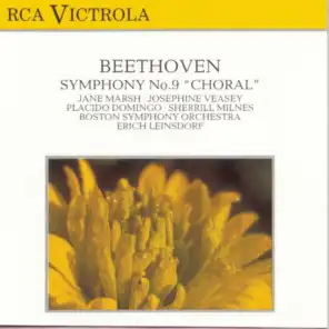 Symphony No. 9, Op. 125 "Choral" in D Minor: Molto vivace