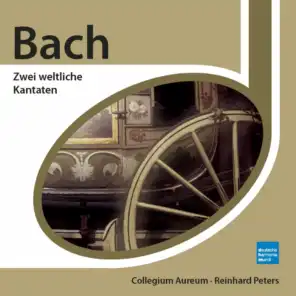 Bach: Zwei weltliche Kantaten
