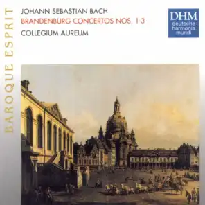 J.S. Bach: Brandenburg Concertos 1 - 3