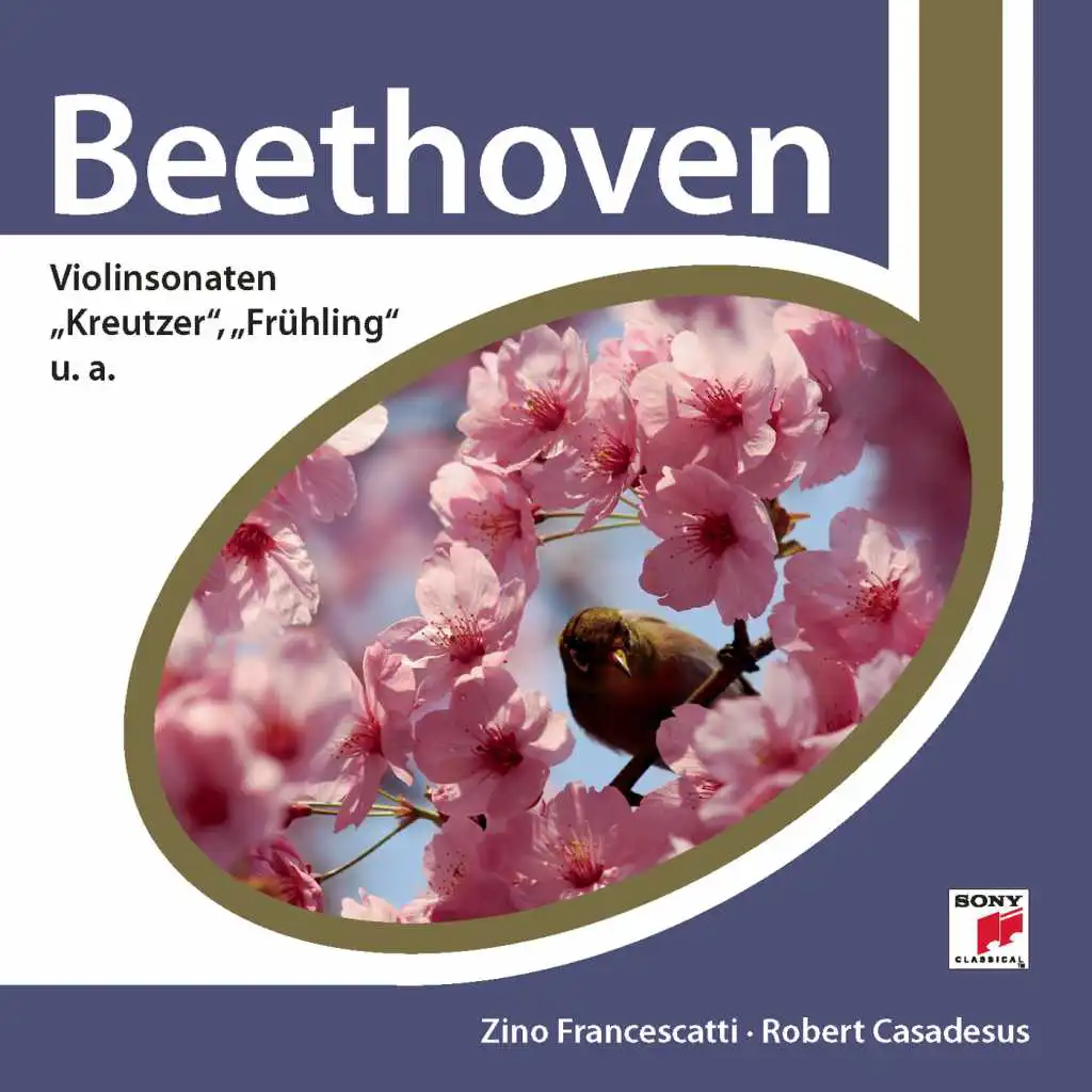 Violin Sonata No. 5 in F Major, Op. 24 "Spring": III. Scherzo. Allegro molto