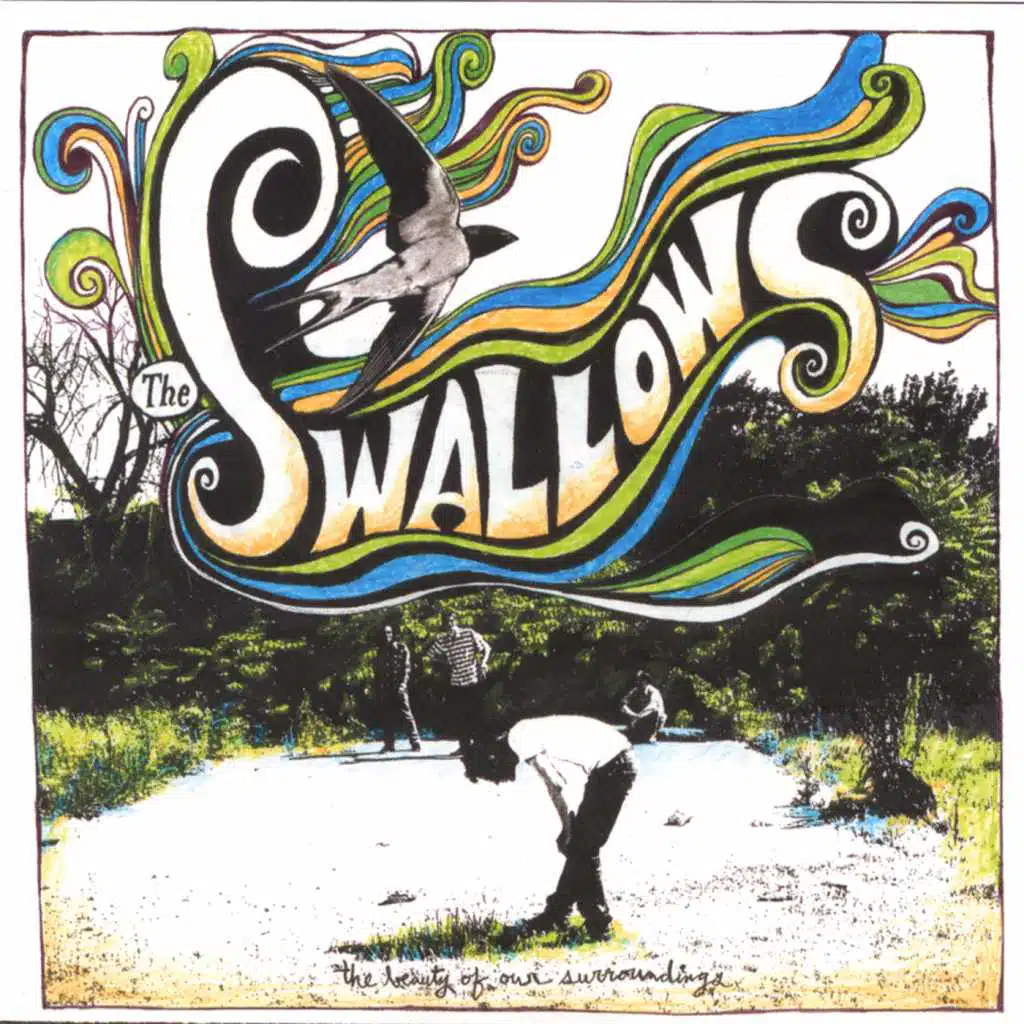 The Beauty of Our Surroundings