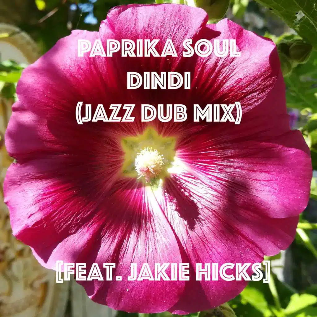 Dindi (Jazz Dub Mix) [feat. Jackie Hicks]