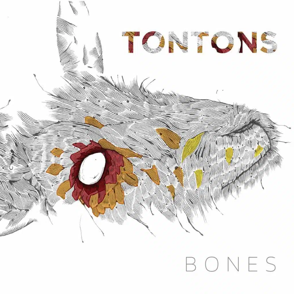 Bones