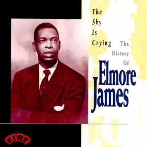 The Sky is Crying: The History of Elmore James