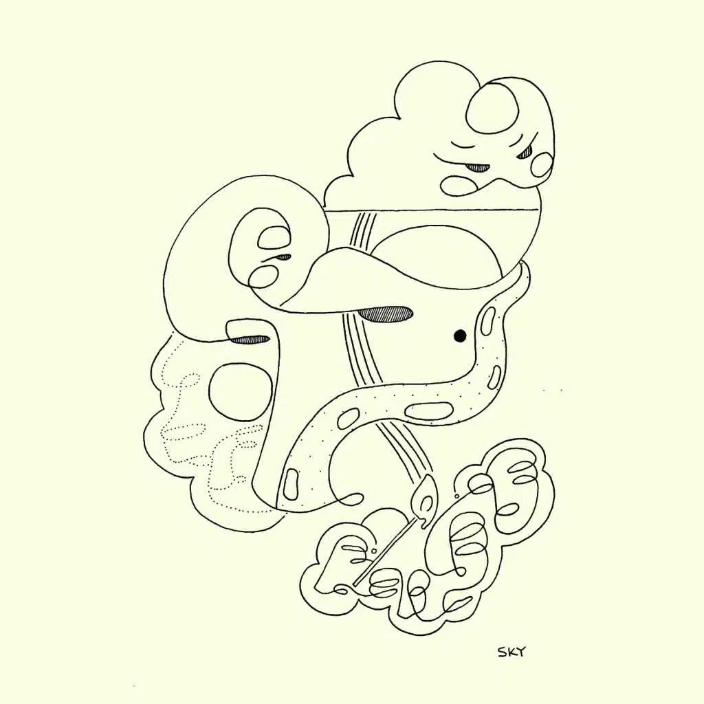 Wanna Live in the World W/a Whole Face