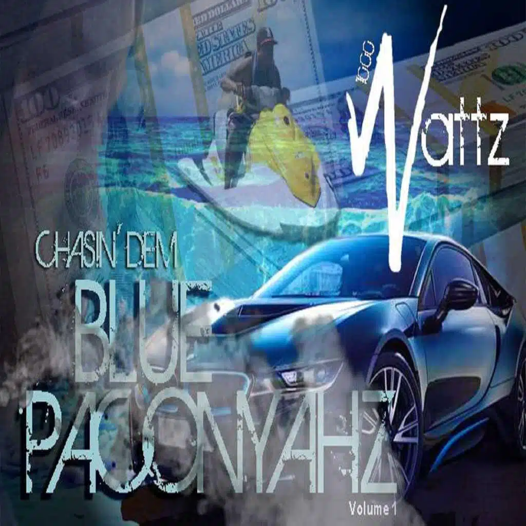 Chasin'dem Blue Paconyahz, Vol. 1