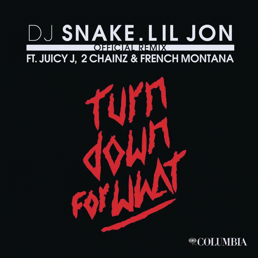 DJ Snake & Lil Jon
