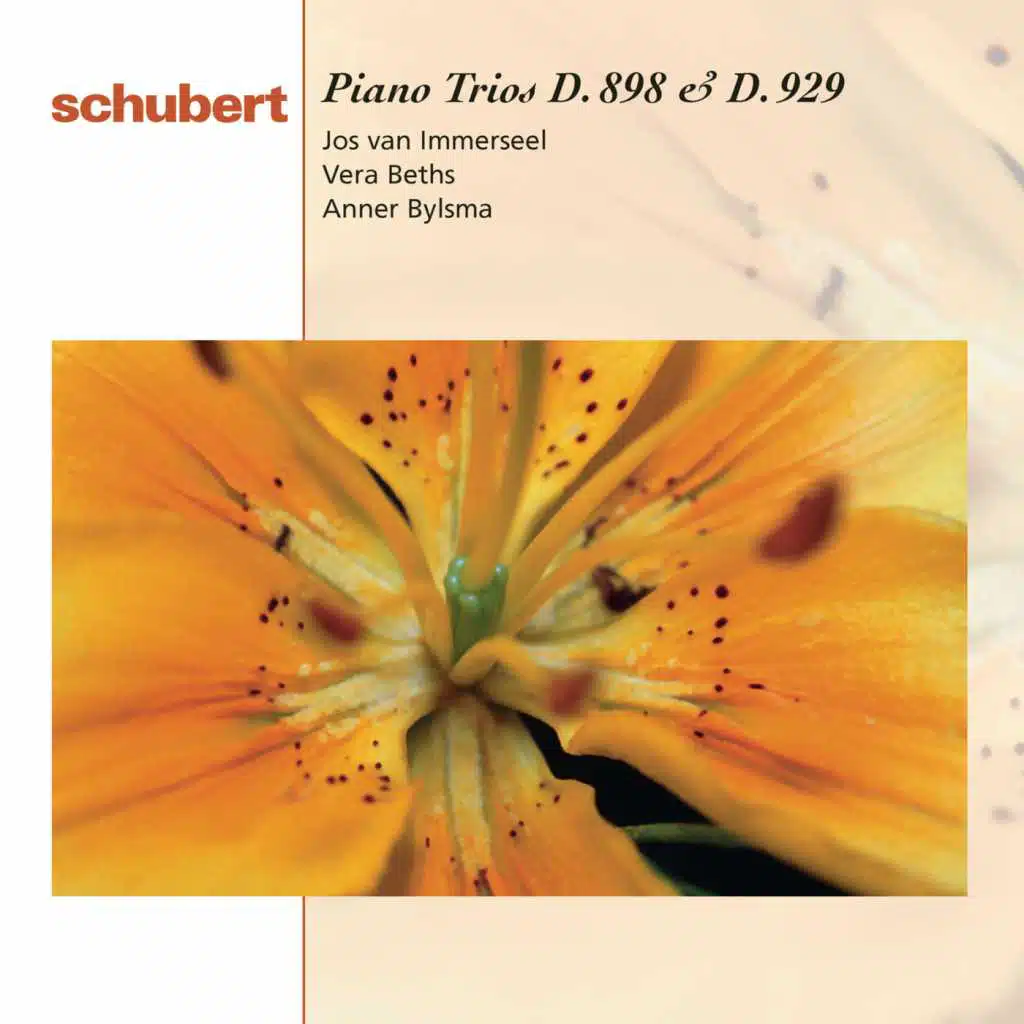 Piano Trio No. 1 in B-Flat Major, D. 898, Op. 99: I. Allegro moderato