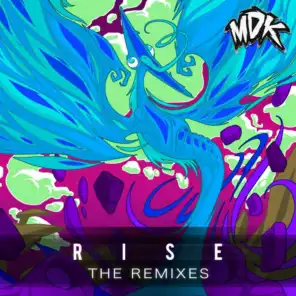 Rise - The Remixes