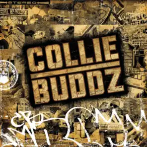 Collie Buddz (Explicit Album Version)