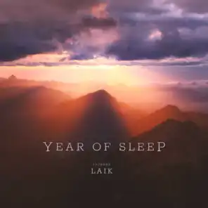Year of Sleep