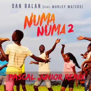 Numa Numa 2 (Pascal Junior Remix) [feat. Marley Waters]