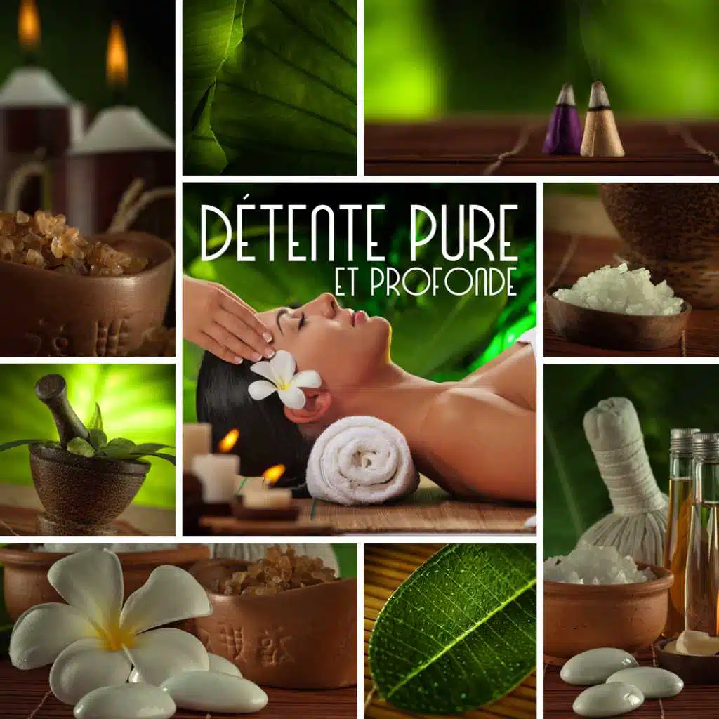 Détente pure et profonde (feat. Ensemble de Musique Zen Relaxante)