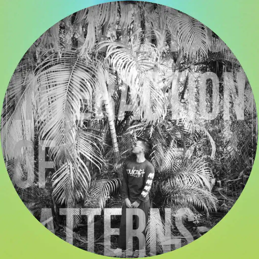 Harmonious Interaction of Patterns (Remixes)