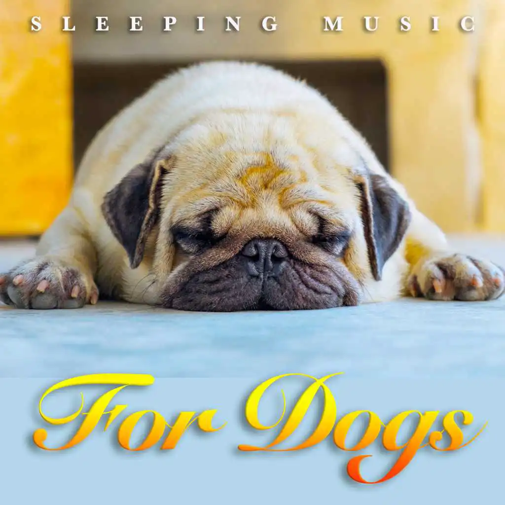 Ambient Sleeping Music For Dogs