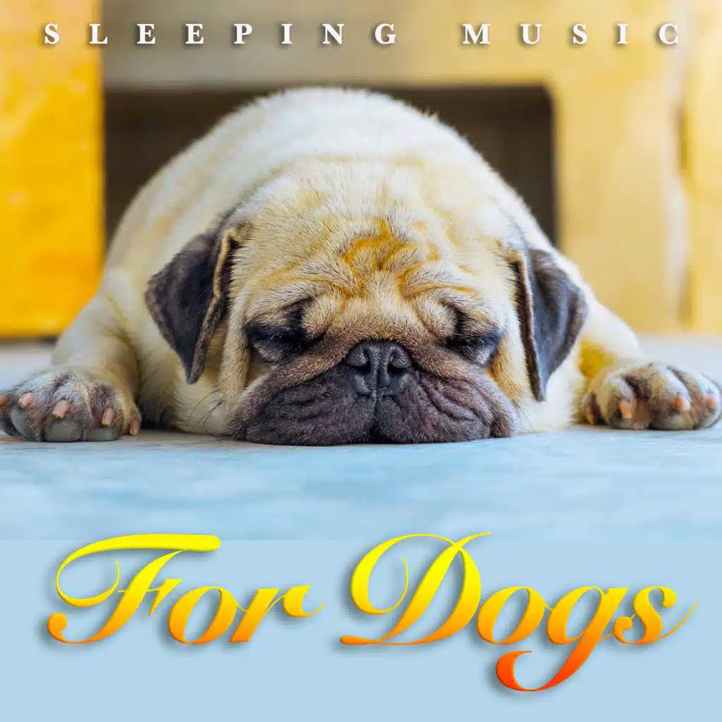 Sleeping Music For Dogs: Ambient Binaural Beats, Calm Music For Dogs Ears and Soothing Dog Music