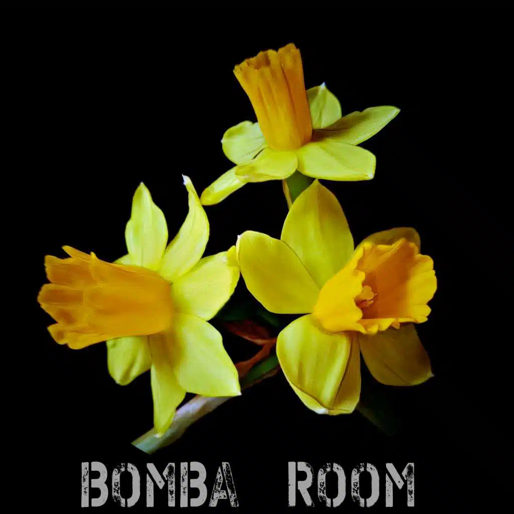 Do the Impossible (Big Bunny Remix)