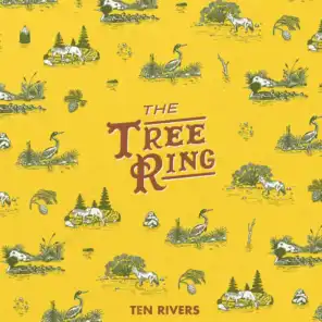 The Tree Ring