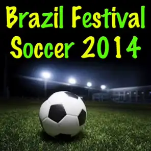 Brazil Festival Soccer 2014