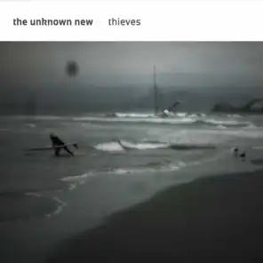 The Unknown New