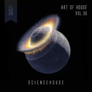 Art Of House - VOL.36