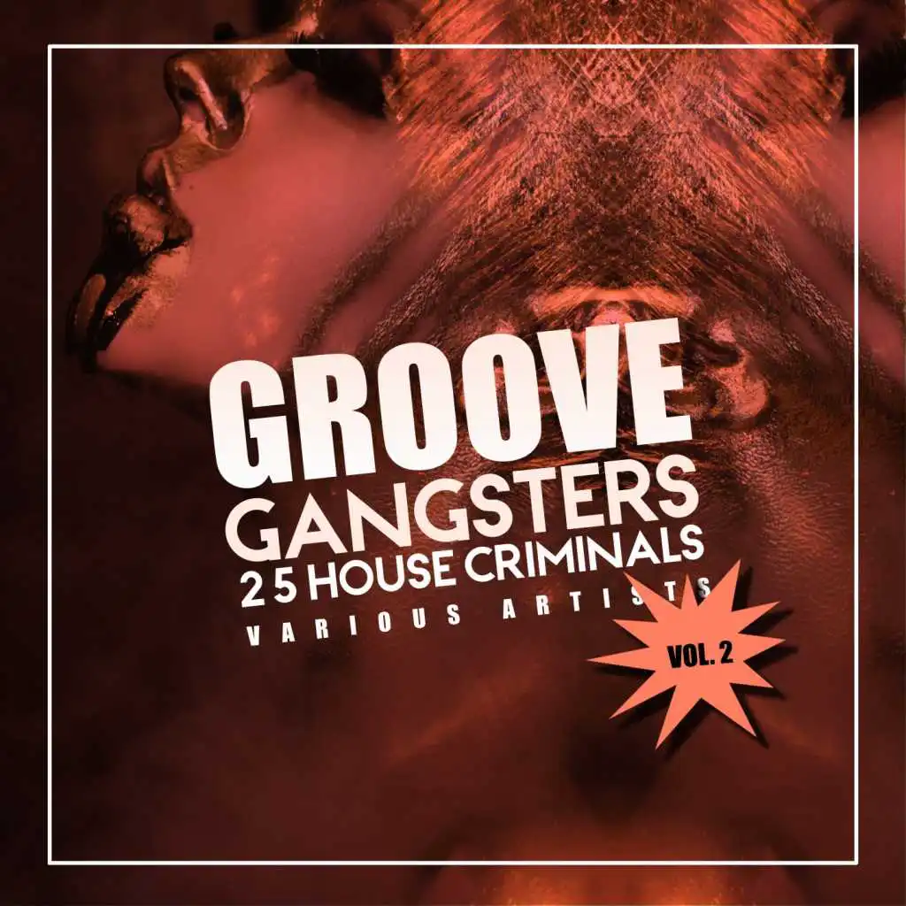 Gimme The Twist (The House Groovers Mix)