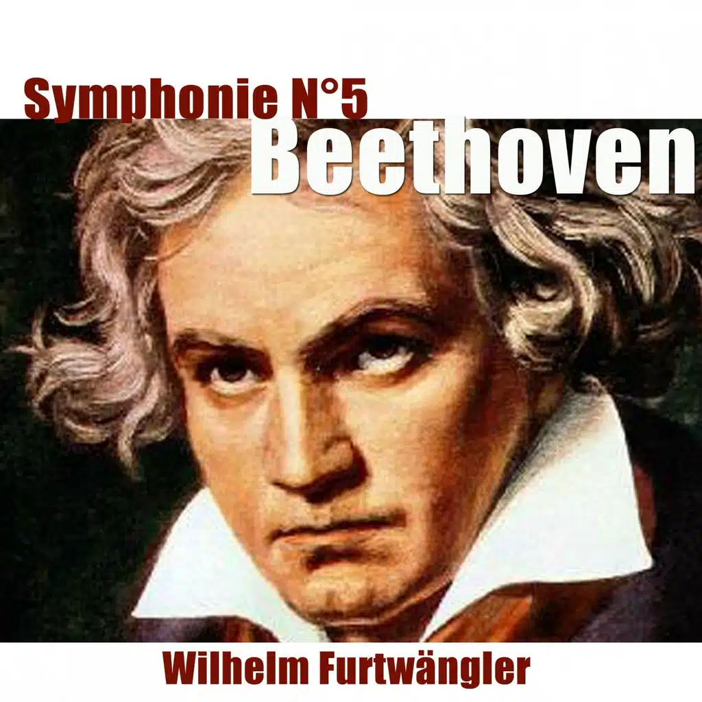 Symphonie No. 5 in C Minor, Op. 67: Scherzo. Allegro