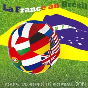 La France au Brésil (Coupe du monde de football 2014)