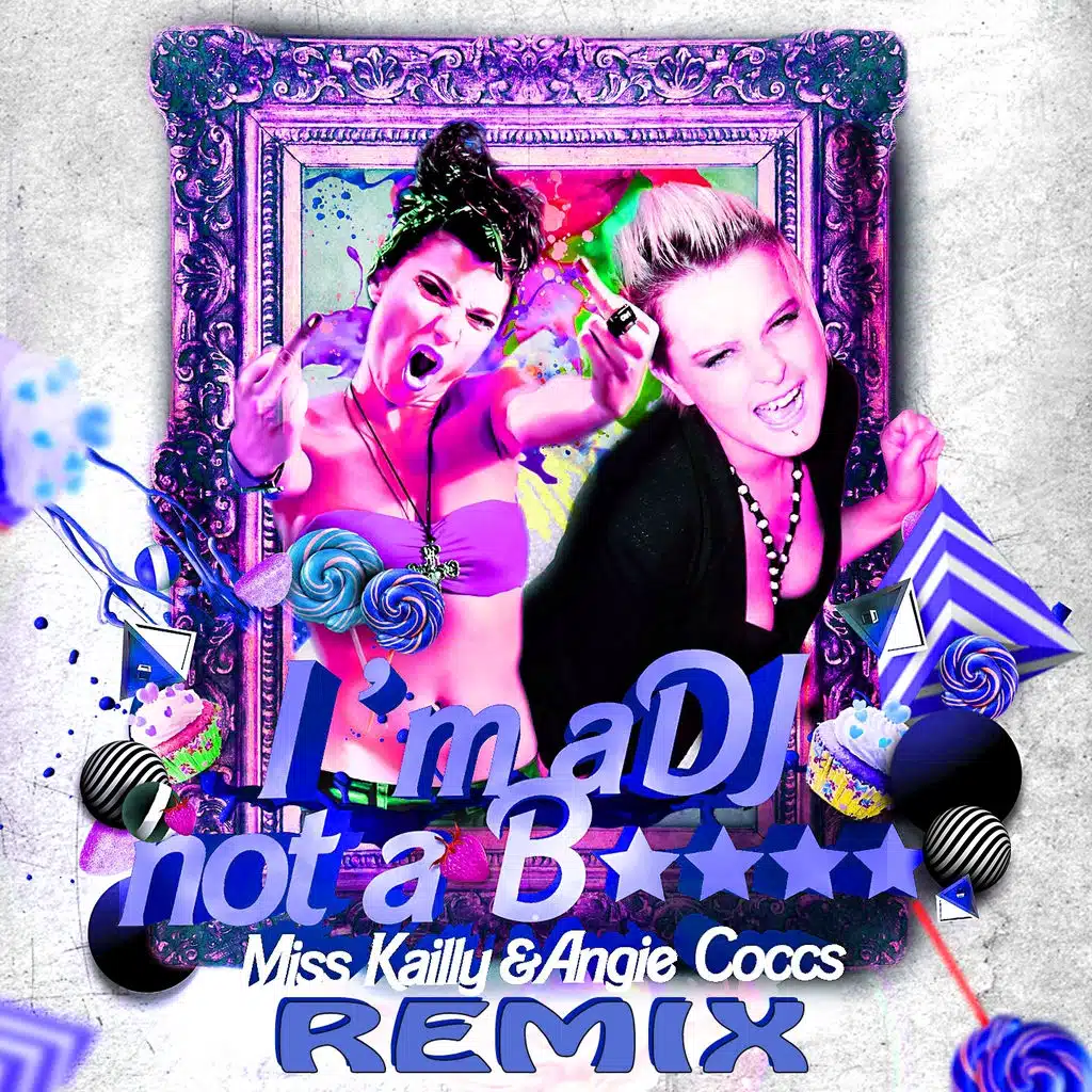 I'm a DJ Not a B.... - Remix