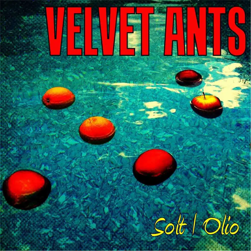 Solt Olio