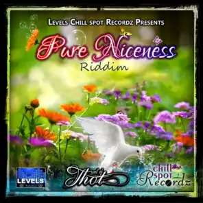 Pure Niceness Riddim - Levels & Chillspot Recordz Presents