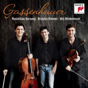 Trio in B-Flat Major, Op. 11, "Gassenhauertrio": III. Allegretto