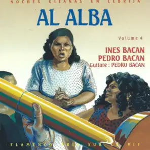 Noches Gitanas en Lebrija: Al Alba, Vol. 4 - Flamenco pris sur le vif