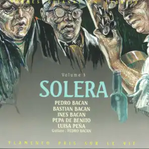 Noches Gitanas en Lebrija: Solera, Vol. 3 - Flamenco pris sur le vif
