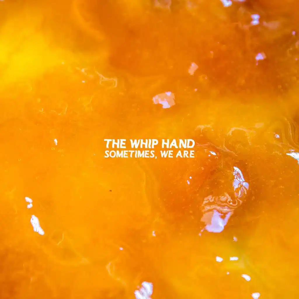 The Whip Hand