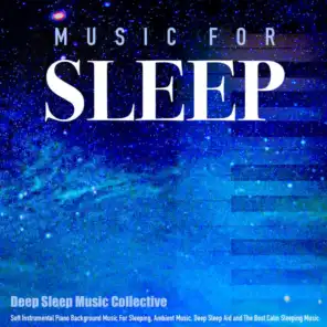 The Best Music for Sleep (feat. Deep Sleep Music Experience)