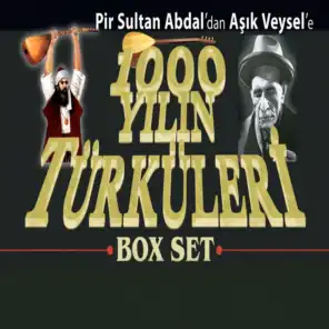 Bin Yılın Türküleri Box Set (Pir Sultan Abdal'dan Aşık Veysel'e)
