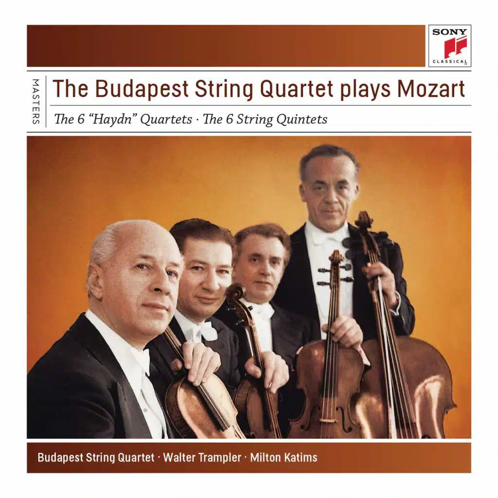 Quintet No. 4  in G Minor for Strings, K. 516: I. Allegro