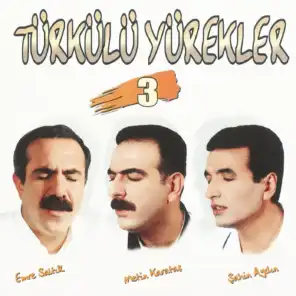 Türkülü Yürekler, Vol. 3
