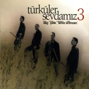 Türküler Sevdamız, Vol. 3