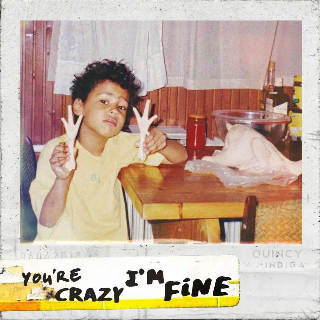 You're Crazy I'm Fine (feat. Indiga)