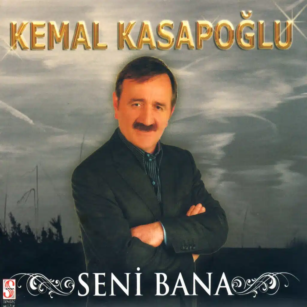 Seni Bana