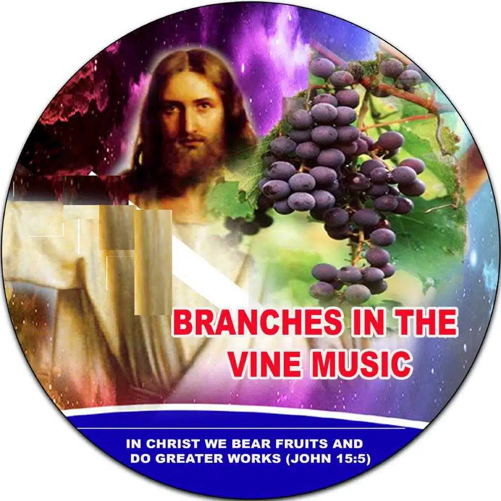 Branches In The Vine