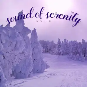 Sound of Serenity, Vol. 2
