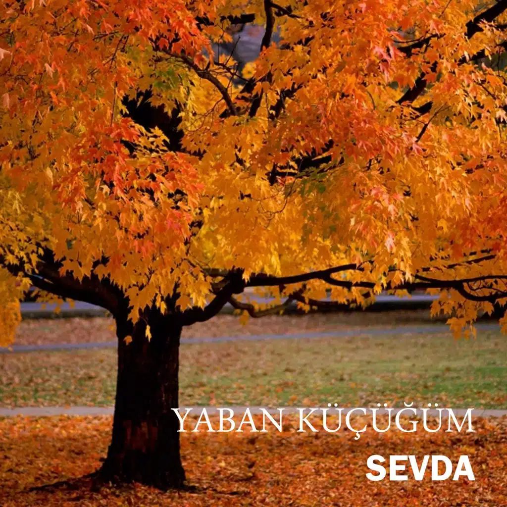 Kölemiyim Ben Allahım