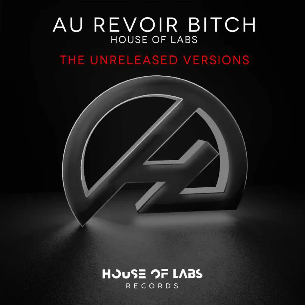 Au Revoir Bitch (Ivan Diaz Tribe Remix)