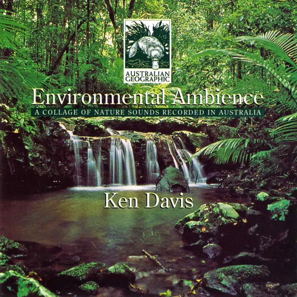 Environmental Ambience